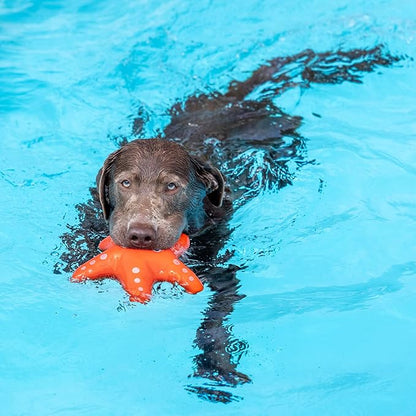 Fringe Studio Shelly Floating Dog Toys, Pet Shop Collection (640004)