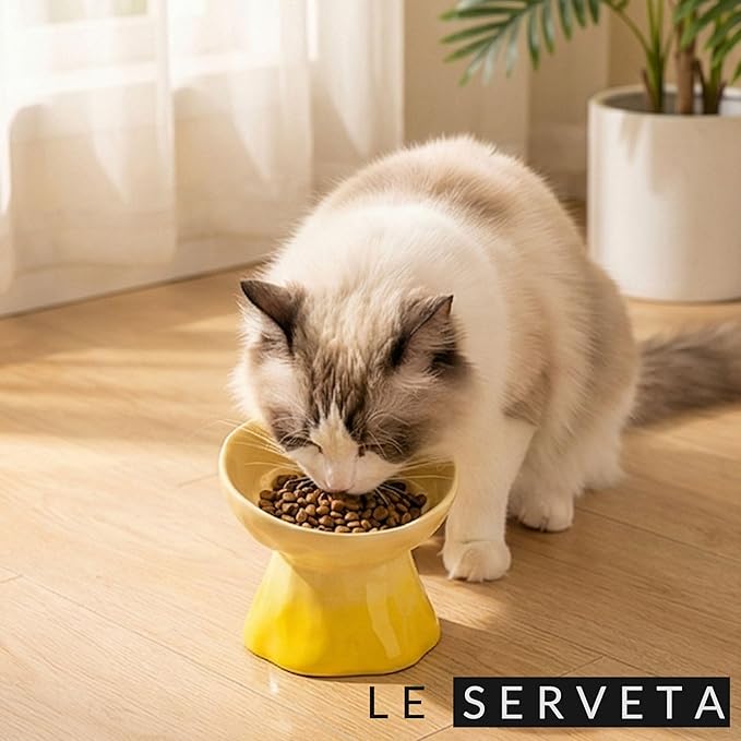 Elevated Ceramic Cat Bowl, Tilted Slow Feeder Pet Dish with Gradient Color Coating, 3.3 Ounces Capacity, Anti-Gulping Design with Rose Bouquet Design (Gradient Yellow)