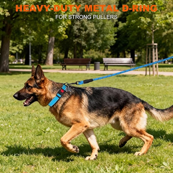 Taglory Reflective Dog Collar with Safety Locking Buckle, Soft Neoprene Padded Dog Collar for Extra Large Dogs, Metal D-Ring, Adjustable Nylon Neck Strap for Walking, Training & Running, Sky Blue, XL