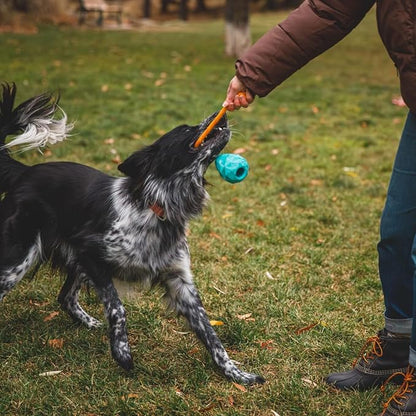 Ruffwear, Huck-a-Cone Dog Toy – Durable Tug, Throw & Fetch Toy with Knotted Rope Handle, Interactive Play for Dogs, Purple Orchid
