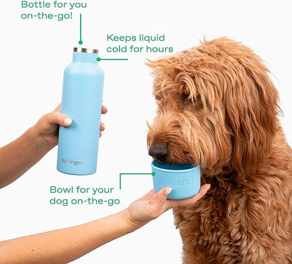 Springer Dog and Me Water Bottle, Stainless Steel Insluated Water Bottle, Keeps Water Cold for 12 Hours (Sky Blue)