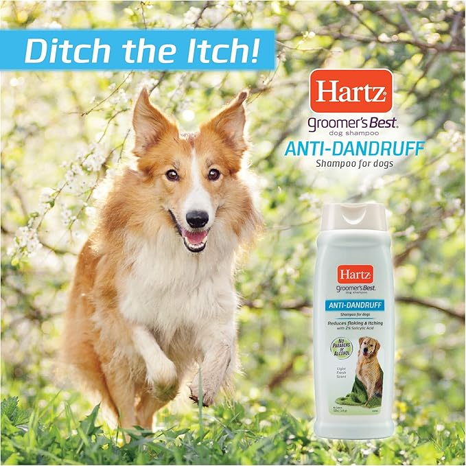 Hartz Groomer's Best Anti-Dandruff Dog Shampoo