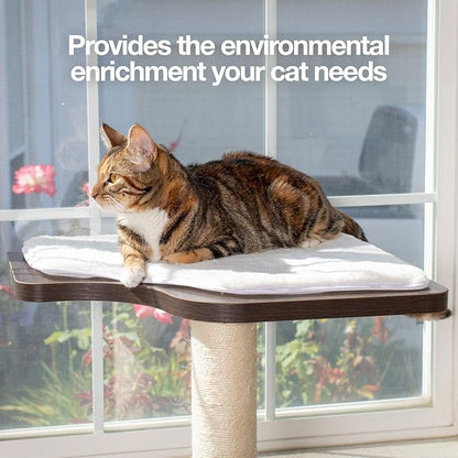 PetFusion Ultimate Cat Window Climbing Perch 45” Tall (Tree Sisal Scratching Posts, Modern Design Simply Suctions to Window. (EASY TO ASSEMBLE)
