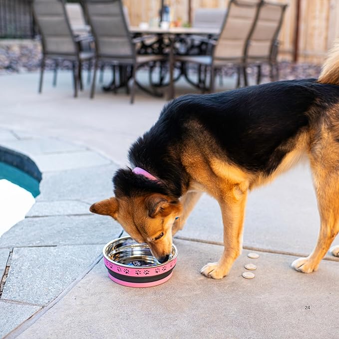 Loving Pets Corsa Dog Bowls- Stainless Steel Dog & Cat Bowls - Spill Proof Dog Food Bowl, Cat Bowl, Puppy Essentials & Pet Supplies Great for Home & Travel (Medium 20-35 lbs, Fiery Pink)