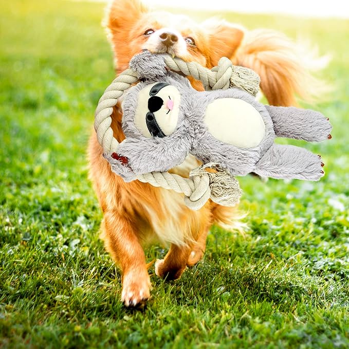 Native Pup Dog Toy Rope and Plush Stuffed Squeaker, Tug of War Toys for Dogs, Puppy Welcome Home Add on for Pets (Sloth)