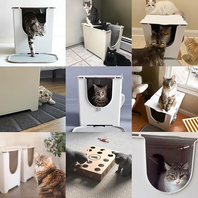 Modkat Flip Litter Box – Front-Entry Design with Integrated Liner System (White)