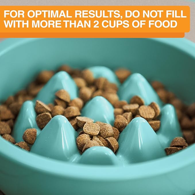 The Niner Slow Feed Bowl - Raised Peaks Slow Down Pets Eating - Fits Elevated Feeders Including Neater Feeder Large Sizes - Gentle on Teeth and Gums - Holds up to 2 Cups (Aquamarine)