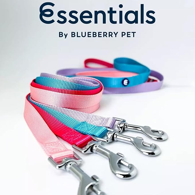 Blueberry Pet Essentials Dark Orchid Dog Leash for X-Small -5' * 3/8" Dogs | Heavy Duty Nylon Lead | Lightweight Puppy & Cat Leash for Walking & Training