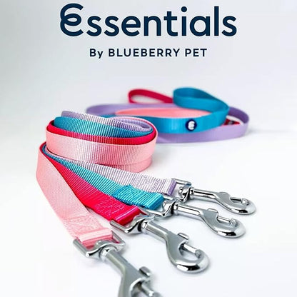 Blueberry Pet Essentials Mint Blue Dog Leash for X-Small -5' * 3/8" Dogs | Heavy Duty Nylon Lead | Lightweight Puppy & Cat Leash for Walking & Training
