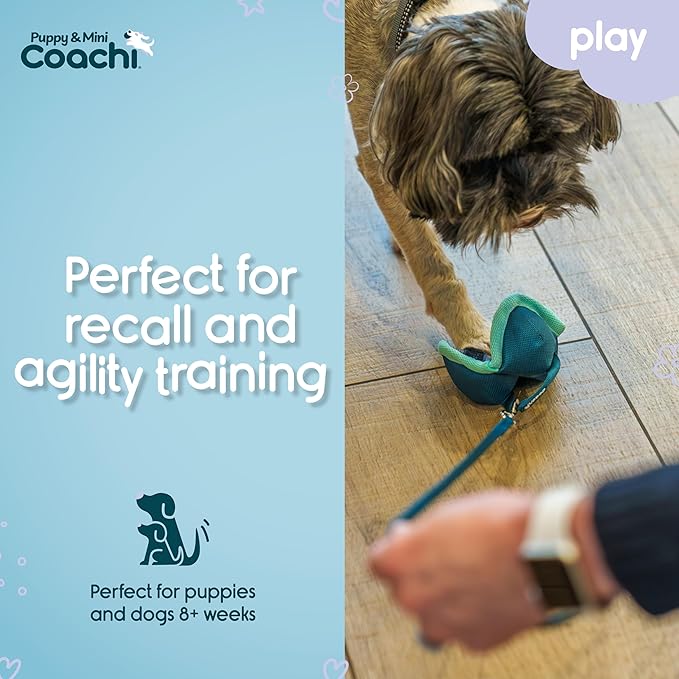 Coachi Puppy & Mini Chase & Treat - Great for Play & Chase, Agility & Distance Training, Encourages Interaction, Good for Motivating, Distance Reward Training & Retrieval. Suitable for Dogs & Puppies