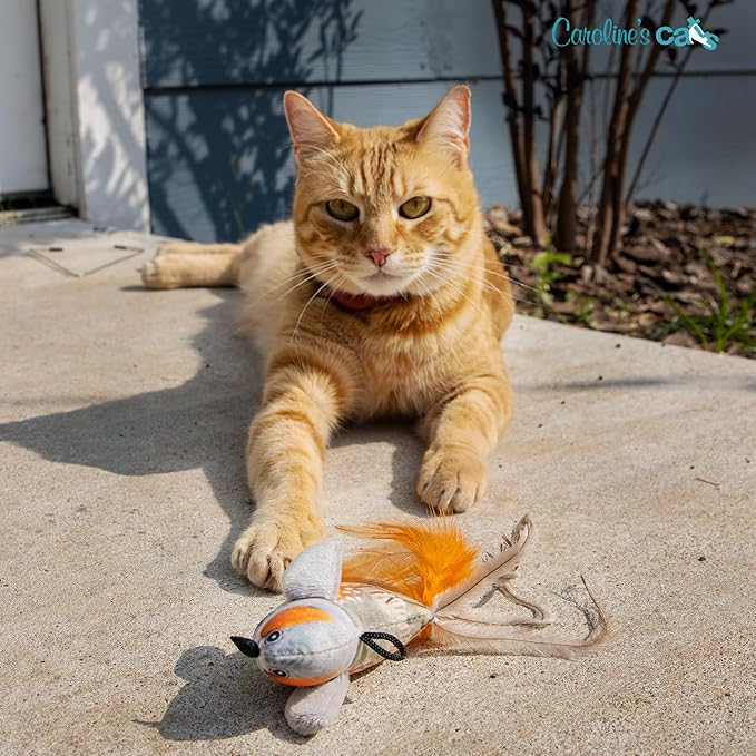 Caroline's Cats Plush Chirping Bird Cat Toy on Elastic String with Doorway Hanger - No Flimsy Suction Cups; Real Electronic Avian Sounds