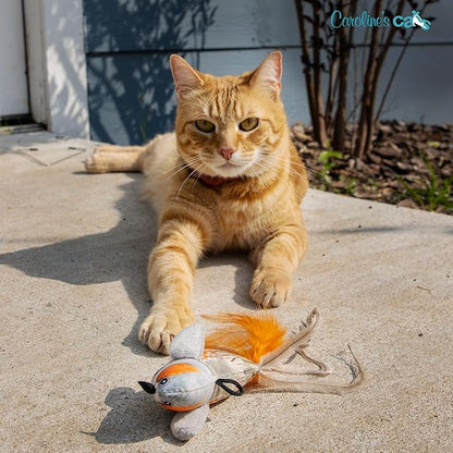 Caroline's Cats Plush Chirping Bird Cat Toy on Elastic String with Doorway Hanger - No Flimsy Suction Cups; Real Electronic Avian Sounds