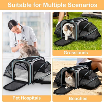 Expandable Airline Approved Pet Carrier, Soft-Sided Travel Bag for Small Cats Dogs with Hard Shell Base, Removable Fleece Pad, Ventilated Mesh, Gray (Blue Trim)