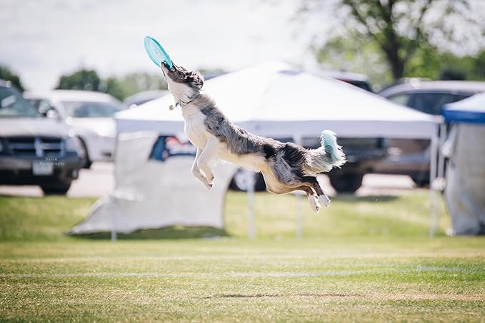 Hero Disc Super Sonic 215mm (Taffy) Dog Sport Flying Disc