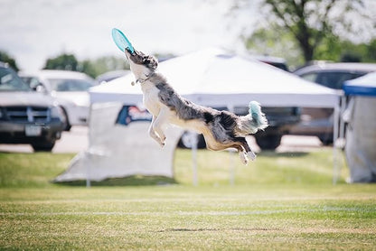 Hero Disc Super Sonic 215mm (Taffy) Dog Sport Flying Disc