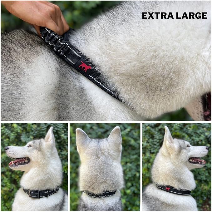 Tuff Pupper Heavy Duty Dog Collar with Handle | Ballistic Nylon Heavy Duty Collar | Padded Reflective Dog Collar with Adjustable Stainless Steel Hardware | Convenient Sizing for All Breeds