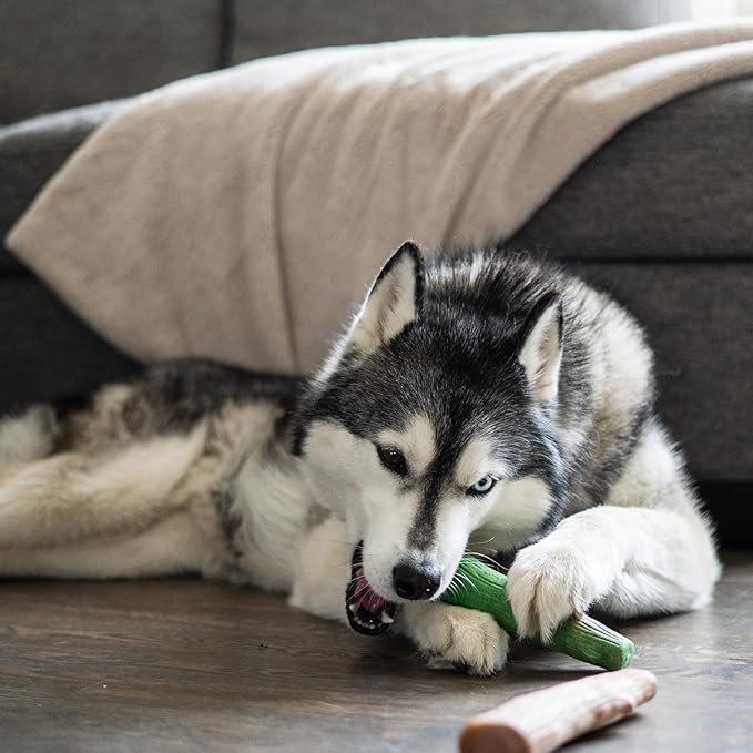 Pupstages by Petstages Dogwood Breath Dog Chew Toy – Real-Wood Blend, Moderate Chewers, Large, 8", 2-Pack (Natural & Mint Flavors)