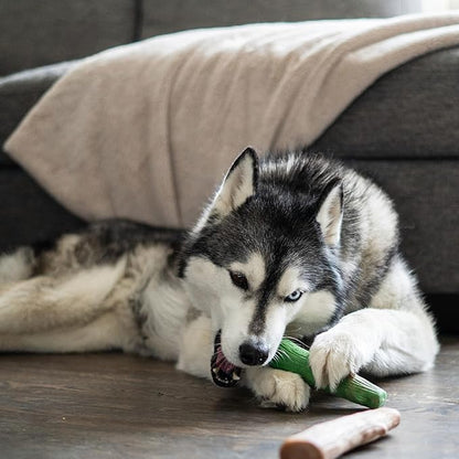 Pupstages by Petstages Dogwood Breath Dog Chew Toy – Real-Wood Blend, Moderate Chewers, Large, 8", 2-Pack (Natural & Mint Flavors)