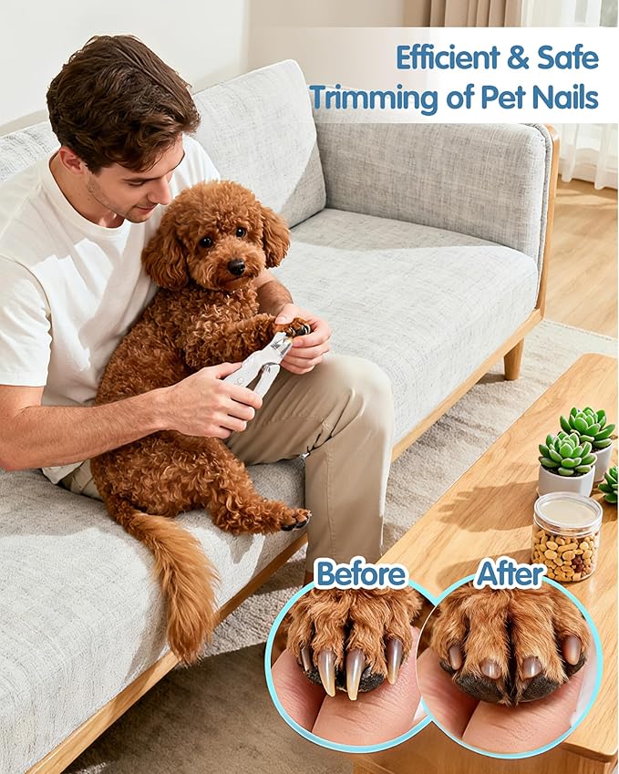2 in 1 Dog Nail Clippers & Dog Nail Grinder for Large Medium Small Dogs Cats Claw Trimmer with 2 LED Lights & Splash Guard, Ultra-Quiet, USB Rechargeable Pet Claw Care Grooming