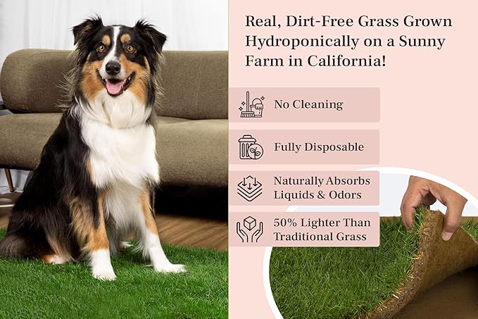 DoggieLawn Dog Potty - Real Grass - XLarge 24x48 inches
