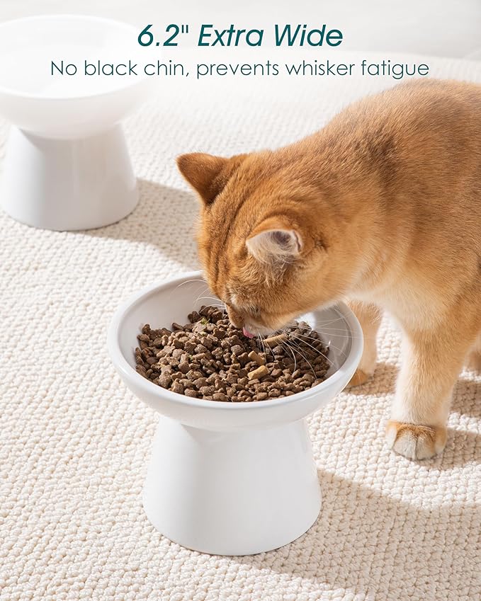 vancasso Elevated Cat Bowls 2-Pack, Ceramic Raised Cat Food and Water Dishes with 5.1" Height & 6.2" Wide Opening - Anti Vomit, Whisker Fatigue Relief for Senior Cats, and Small Dogs (White)