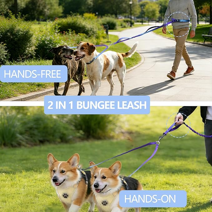 Roses&Poetry Hands Free Double Dog Leash for Two Dogs, 9-11ft Adjustable Bungee Walking Waist Lead, Dual Dog Leash with Tangle-Free Swivel for Medium Large Dogs Heavy Duty Running(Violet)
