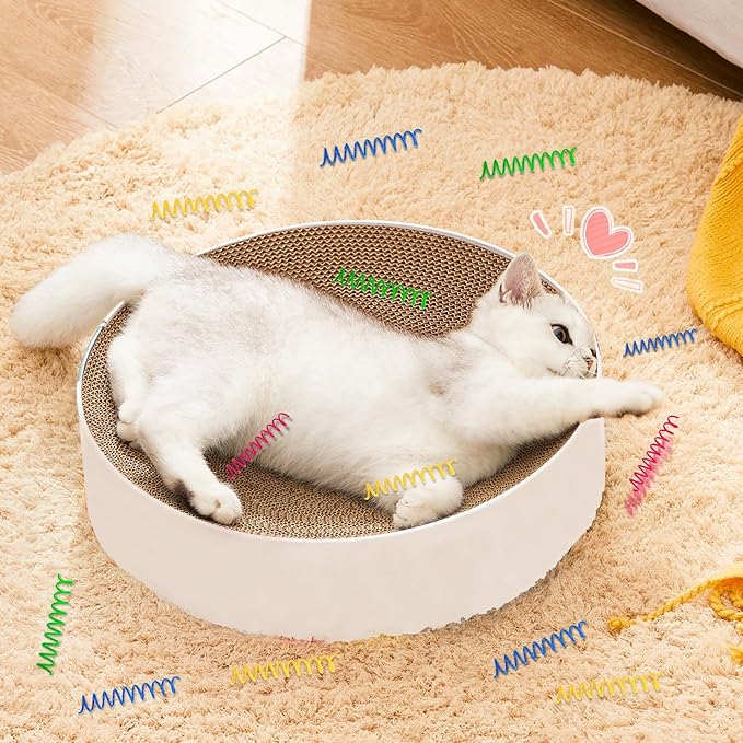 Andiker Mini Cat Spiral Springs, 16Pcs Cat Springs Toy Come with a Storage Box Long-Lasting 4 Bright Colors Plastic Springs Cat Toy for Indoor Cat Swatting Biting Hunting Self-Play Kitten Toys (S)