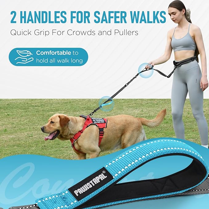 Hands Free Large Dog Leash, 6-8 FT Bungee Leash with Waist Belt for Dog Up to 150 lbs, Running Walking Jogging