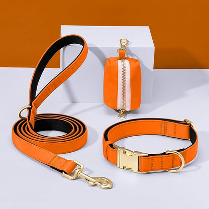 Didog 5FT Colorful Nylon Dog Leash with Soft Full-Length Padding, Lightweight and Durable Pet Leash for Small Dogs, Orange, S