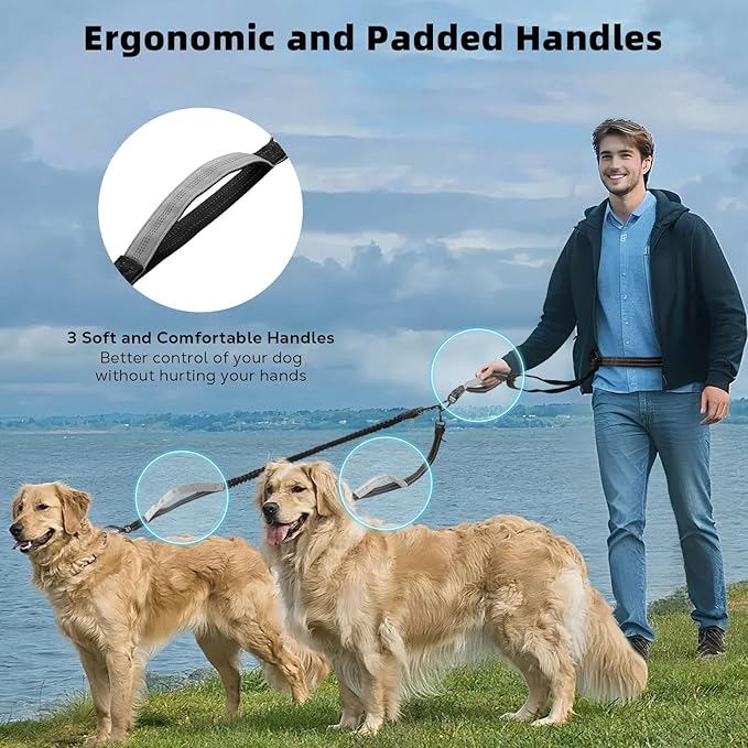 Hands Free Dog Leash, Waist Leash for 2 Dogs, Adjustable Double Hands Free Lead with Detachable Waist Belt, Padded Handles, Shock Absorbing Bungee for Walking Jogging Hiking, Black+Gray