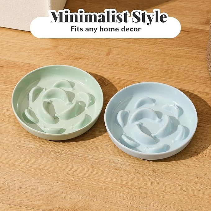 Melamine Cat Slow Feeder Bowl - Pastel Series Cat Plate for Dry and Wet Food - Cute Maze Feeder Dish for Healthy Eating - Dishwasher Safe - 6.3''W x 1.2''H - 7 OZ - Ivory White
