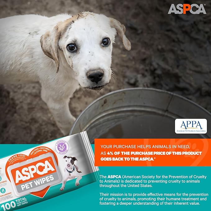 ASPCA Grooming Wipes Hypoallergenic for Dogs & Cats of All Ages, Cleansing & Deodorizing - Lavender Scented - 100pk