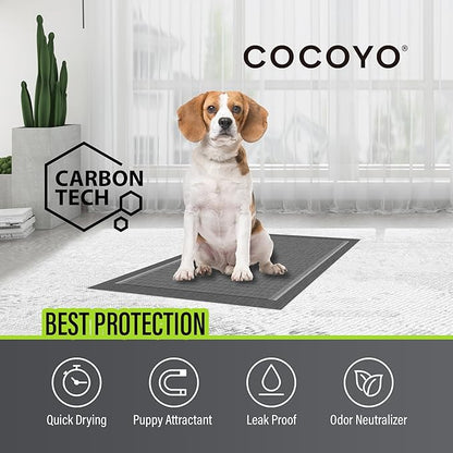 COCOYO Dog Training Pads 丨 Carbon Absorb Eliminating Urine Odor Doggie Training Pads 丨 Premium Charcoal Dog Pee Pads (100 Count, 22x22 inch),Gray
