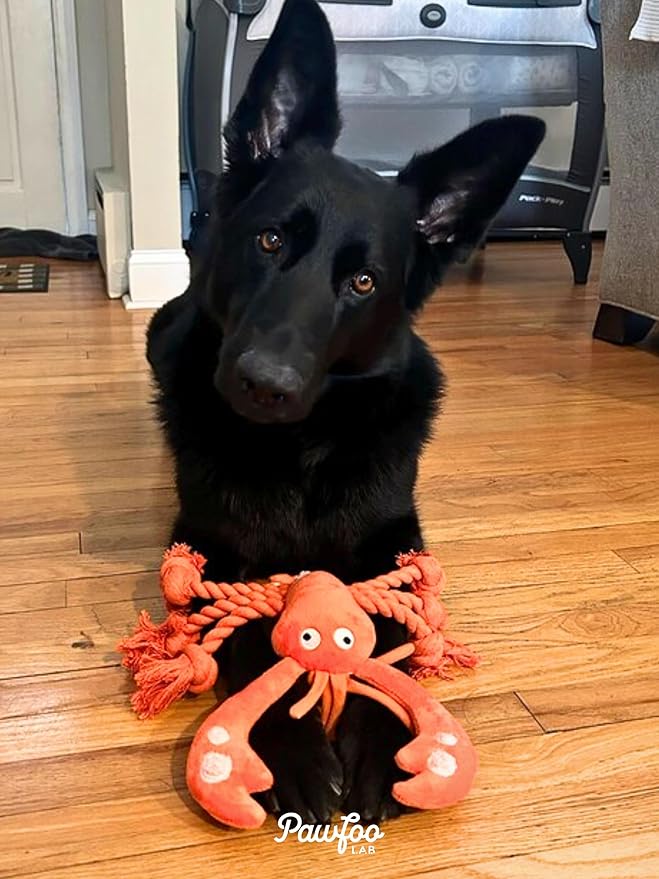 Large Squeaky Dog Toys, Tough Plush Lobster with Rope Tug of War for Puppy, Small, Medium, Large Dogs, Interactive Stuffed Chew Toy to Keep Them Busy