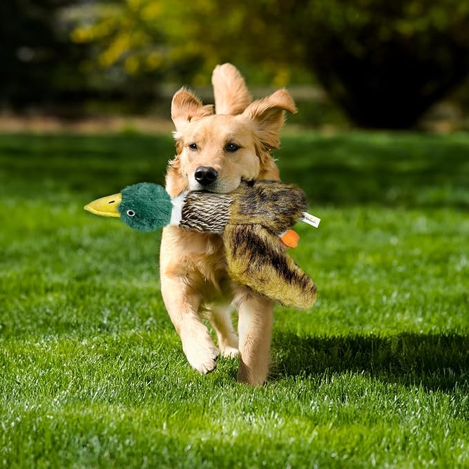 Large Squeaky Dog Toys, Tough Plush Squeaky Duck Dog Toy with 3 Sounds to Keep Them Busy, Interactive Filled Chew Toys for Small Medium and Large Dogs