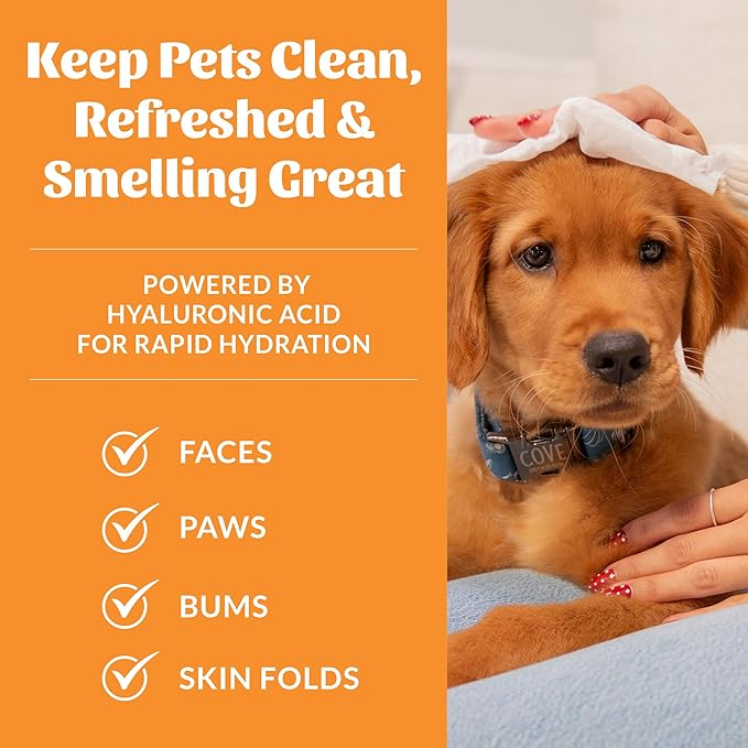 SKOUT'S HONOR HydroClear Grooming Wipes w/Hyaluronic Acid - for Your Dogs and Cats - Great for Hydration of Your Pets Skin and Fur - Honeysuckle Fragrance - 100ct