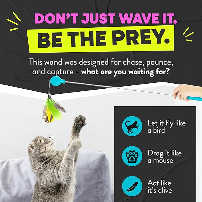 Jackson Galaxy Gotcha! Cat Wand Toy - Interactive Cat Toy, Feather Wand
