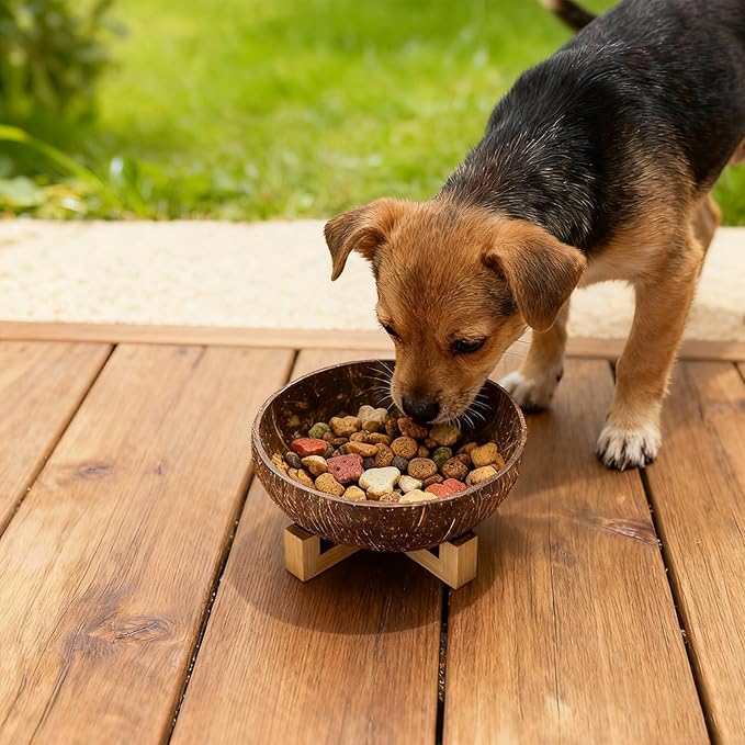 Handmade Natural Coconut Shell Dog Bowl, Eco-Friendly Pet Food Dish, Easy-to-Clean Sustainable Feeding Bowl for Small Dogs