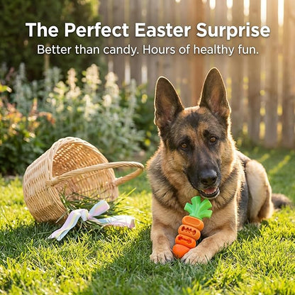 2 Pack Dog Toys for Aggressive Chewers Bacon Flavored: 7" Tough Dog Chew Bone, Hard Nylon & Rubber Teeth Cleaning Toy, Carrot-Shaped Dog Chew Toy for Large Breed 20-70 lbs