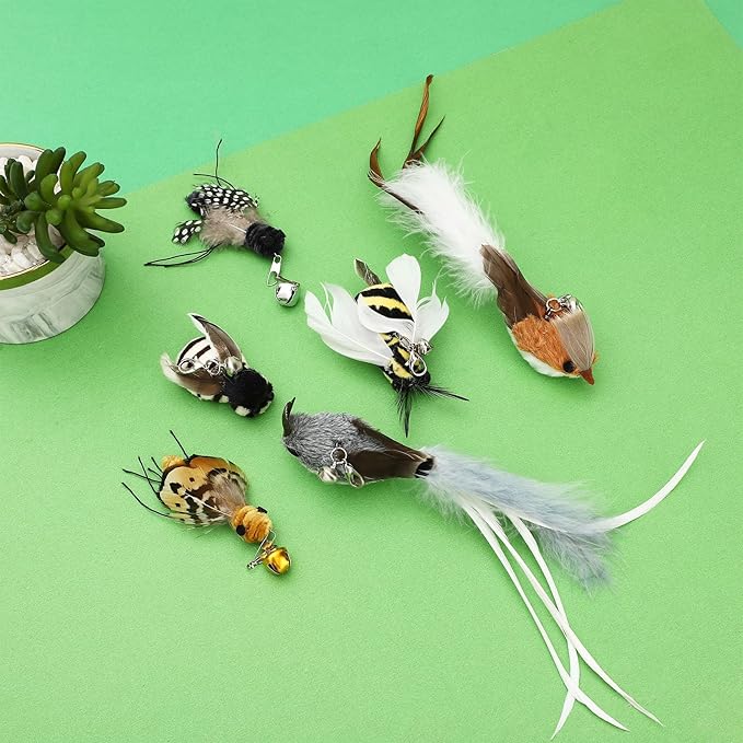 6 Pieces Cat Feather Toys Replacement Bird Insect Cat Toy Wand Refills Cats Toy Replacement Natural Bird Feathers for Cats Toys