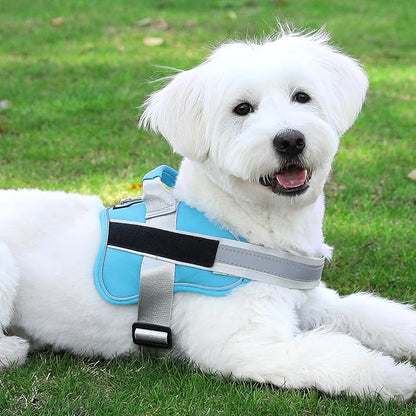 Bolux Dog Harness, No-Pull Reflective Dog Vest, Breathable Adjustable Pet Harness with Handle for Outdoor Walking - No More Pulling, Tugging or Choking (OceanicBlue, X-Small (Pack of 1))