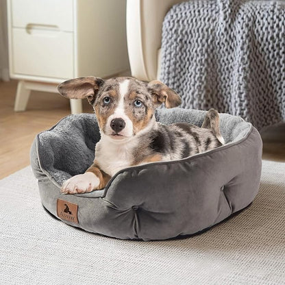 Asvin Large Dog Bed for Large Dogs, Cat Beds for Indoor Cats, Pet Bed for Puppy and Kitty, Extra Soft & Machine Washable with Anti-Slip & Water-Resistant Oxford Bottom, Grey, 35 inches