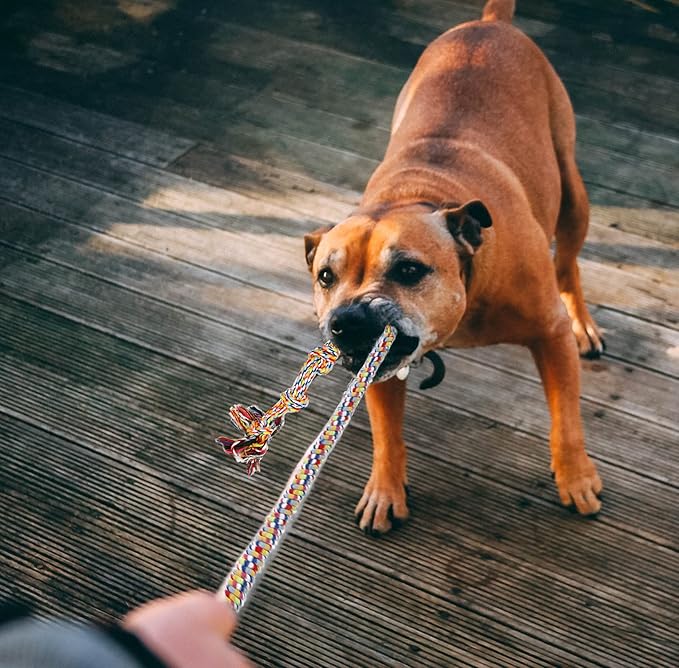 Flirt Pole Dogs,Interactive Dog Toys Dog Toy Stick,Dog Chew Toy Rope for Chewing &Training Small Medium Large Dogs Pulling, Chasing, Chewing, Training, Exercising,ROPE-67in