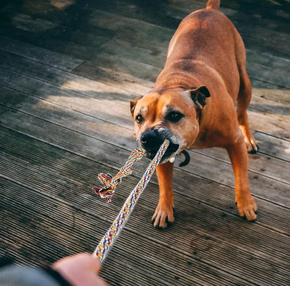 Flirt Pole Dogs,Interactive Dog Toys Dog Toy Stick,Dog Chew Toy Rope for Chewing &Training Small Medium Large Dogs Pulling, Chasing, Chewing, Training, Exercising,ROPE-67in