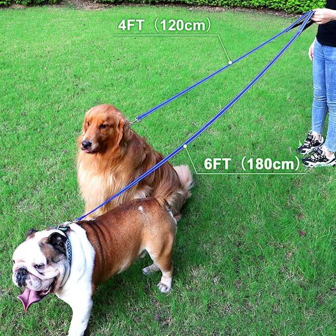 FunTags 4FT Reflective Dog Leash with Soft Padded Handle for Training,Walking Lead for Large & Medium Dog,1 Inch Wide,Royal Blue