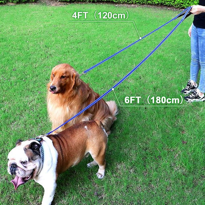FunTags 4FT Reflective Dog Leash with Soft Padded Handle for Training,Walking Lead for Large & Medium Dog,1 Inch Wide,Royal Blue