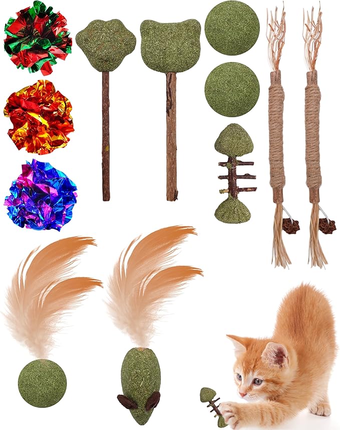 PET SHOW 12 Pack Catnip Toys for Indoor Cats Crinkle Toy Balls Natural Silvervine Sticks Interactive Catnip Fether Balls Cat Nip Mice&Fish Kitten Paw Lollipops Organic Chew Toys Kitty Teething Toy