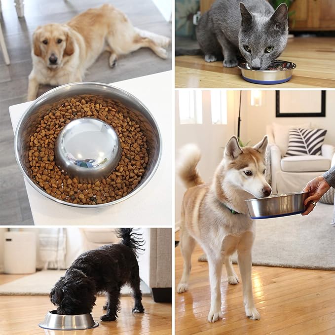 OurPets DuraPet Slow Feed Premium Stainless Steel Dog Bowl, Silver, Small (2040010300)