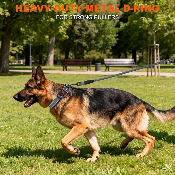 Taglory Reflective Dog Collar with Safety Locking Buckle, Soft Neoprene Padded Dog Collar for Large Dogs, Metal D-Ring, Adjustable Nylon Neck Strap for Daily Walking, Training & Running, Grey, L