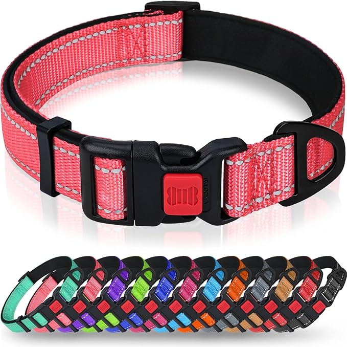 Taglory Reflective Dog Collar with Safety Locking Buckle, Soft Neoprene Padded Dog Collar for Medium Dogs, Metal D-Ring, Adjustable Nylon Neck Strap for Daily Walking, Training & Running, Baby Pink, M
